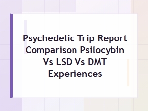 Psilocybin vs Lsd vs Dmt: a Psychedelic Trip Report Comparison