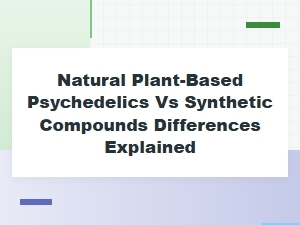 Natural Plant-Based Psychedelics vs Synthetic Compounds: Key Differences Explained